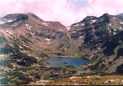 Cirque